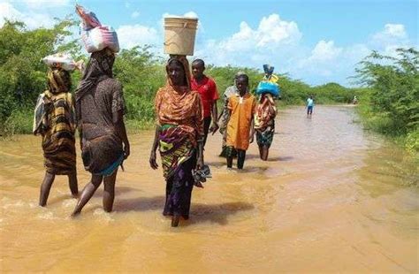 De Ethiopische Marathon van Hoop: Een Verwoestende Droogte Overwonnen Door Unyielding Spirit